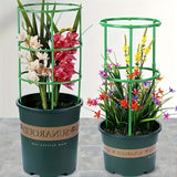 Plant Support Cage