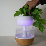 Plant Rain Cloud Humidifier